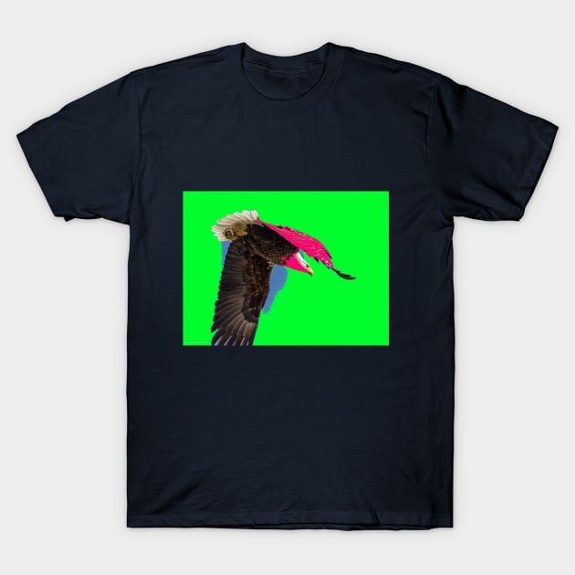 Eagle Flying Free - Fine Art Photo Tee Shirt T-Shirt by PeteHendleyPhotography